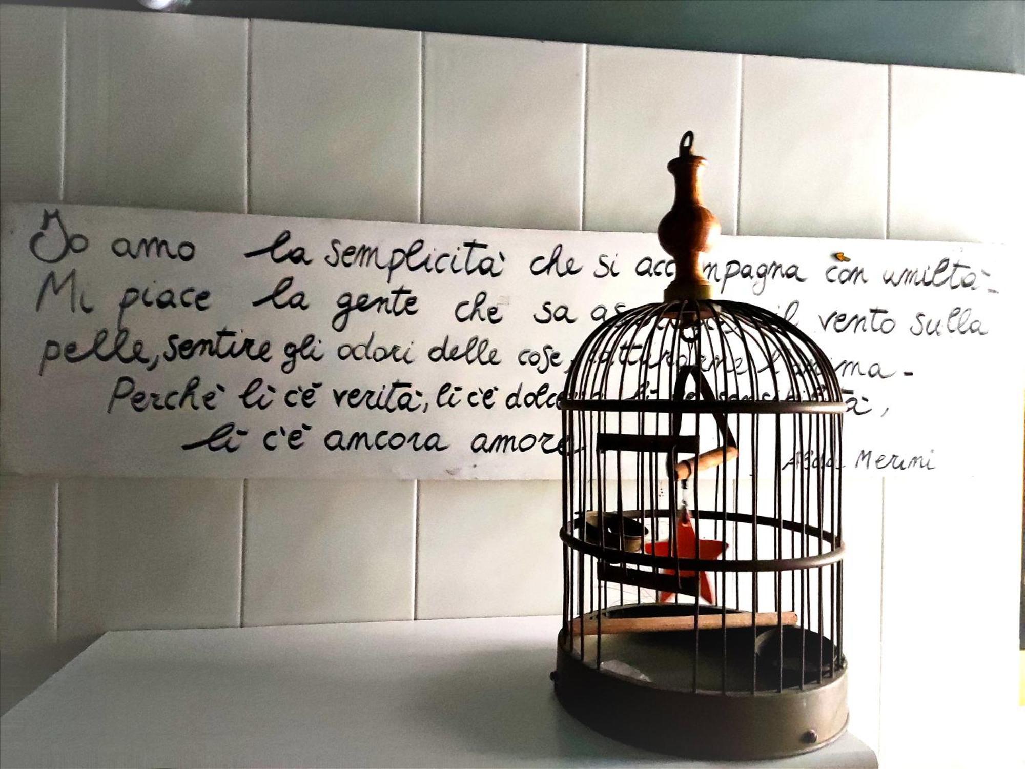 Homestay Ramaya, Casa D'artista *